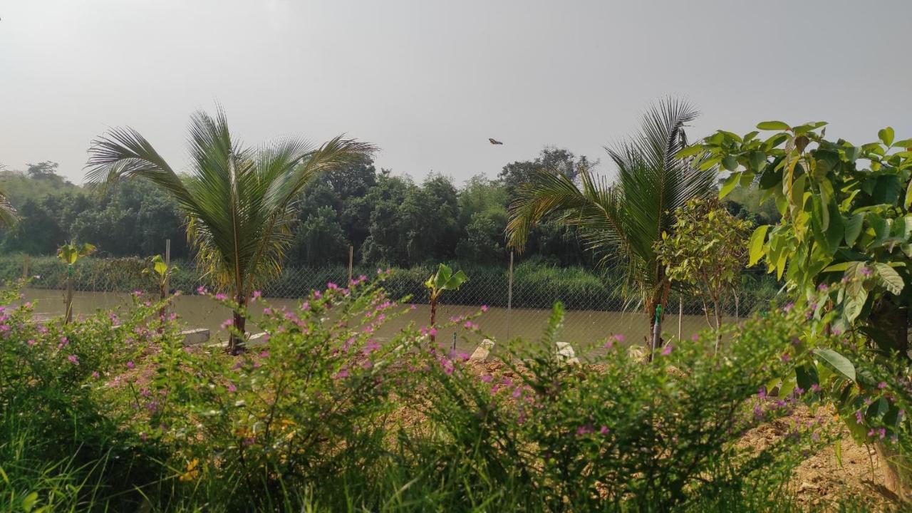 Homestay Dat Viet Cát Tiên Eksteriør billede